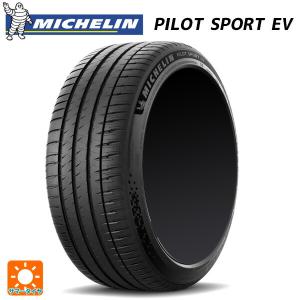 サマータイヤ 255/45R19 100Y N0 19インチ ミシュラン 正規品