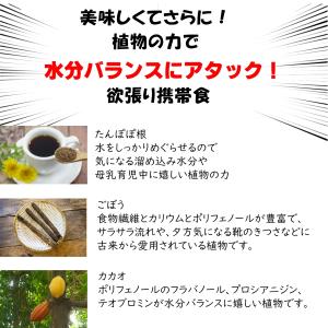 低糖質おからクッキーバー訳あり切れ端ノンオイル...の詳細画像3