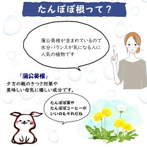 低糖質おからクッキーバー訳あり切れ端ノンオイル...の詳細画像4