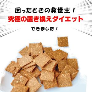 低糖質ノンオイルノンシュガーのおからクッキー ...の詳細画像2
