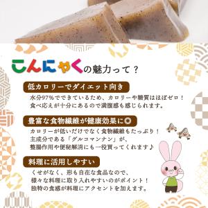 土日最大+5%★こんにゃく あく抜きいらず 田...の詳細画像4