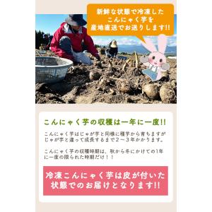 日曜限定P+5%★2025年度秋冬収穫|期間限...の詳細画像5