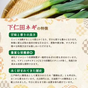 土日限定最大5%★せんべい 下仁田ねぎ処 殿様...の詳細画像3