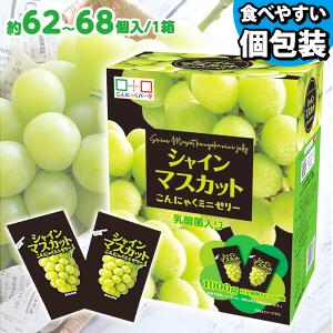 こんにゃくゼリー ひとくち蒟蒻ゼリー こんにゃくパーク シャインマスカットこんにゃくミニゼリー BOX入り 群馬 置き換え (1箱1000g・約62〜68個入*1個)｜konnyakupark