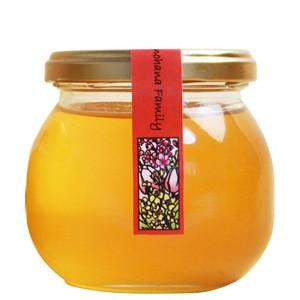 国産純粋はちみつ 日本みつばち 幻の蜜 岐阜県産 無添加 ※内容量を選択