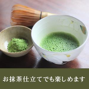 超微粉末 まこも青汁 40g(農薬不使用栽培)の詳細画像3