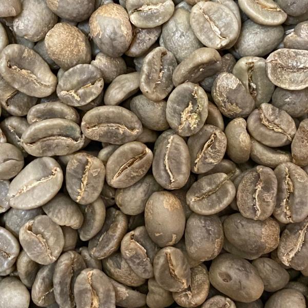 コロンビア 100g