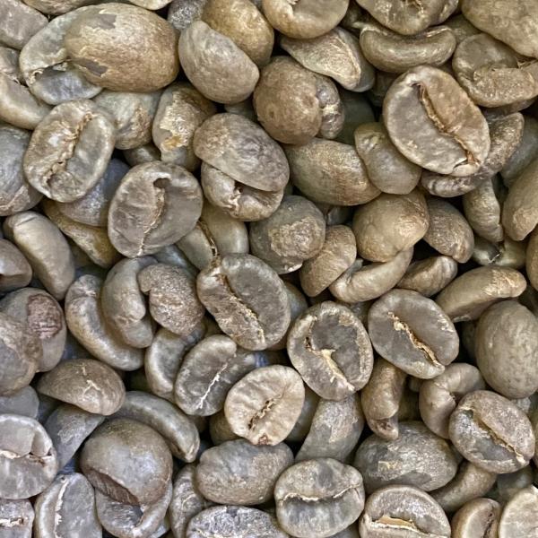 キリマンジャロ 100g