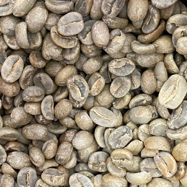 エルサルバドル 100g