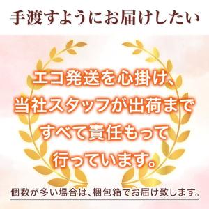 iPhone17 iPhone16 iPhon...の詳細画像5