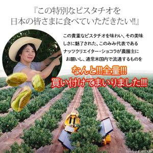 飴がけ キャンディ ピスタチオ 180g 殻な...の詳細画像5