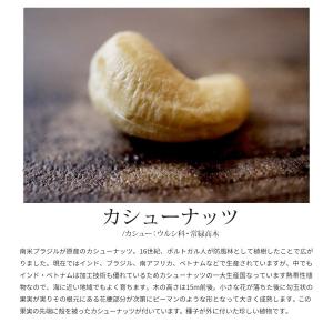 カシューナッツ 素焼き 無塩 250g 個包装...の詳細画像2