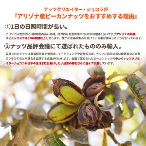 機能性表示食品 ゴールデンピーカンナッツ アリ...の詳細画像4