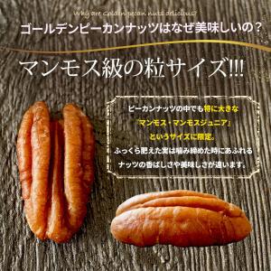 ゴールデンピーカンナッツ ロースト 270g ...の詳細画像5