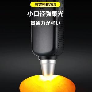 ハンドルルーペ USB 充電式 ハンドル鑑定ル...の詳細画像1