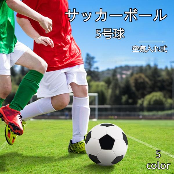 サッカーボール 5号球 練習用 トレーニング レジャー スポーツ 空気入れ フットワーク練習 ドリブ...