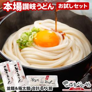 送料無料 本場さぬきうどん お試しセット4人前＆極太麺2人前の合計6人前（つゆ無し） ポスト投函便で...