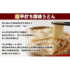 本場讃岐うどん 超平打ち麺 400g 半生讃岐...の詳細画像1