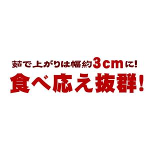 本場讃岐うどん 超平打ち麺 400g 半生讃岐...の詳細画像4