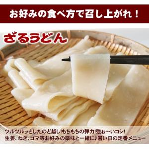 本場讃岐うどん 超平打ち麺 400g 半生讃岐...の詳細画像5
