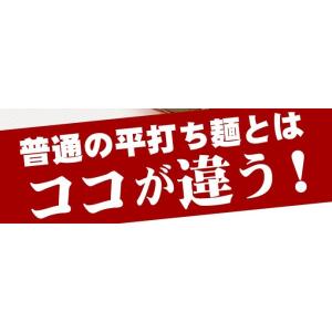 本場讃岐うどん 超平打ち麺 400g×2袋 合...の詳細画像3
