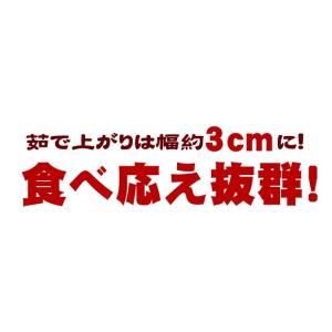 本場讃岐うどん 超平打ち麺 400g×2袋 合...の詳細画像5