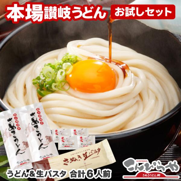 讃岐うどん お試しセット 4人前つゆ付＆さぬき生パスタ2人前 合計6人前 うどん 生パスタ さぬきう...