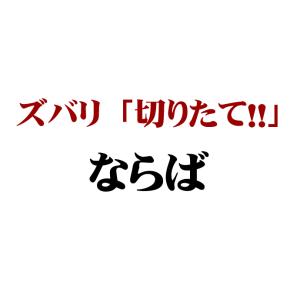 「琴線」巻いて熟成讃岐家うどん2本セット(6人...の詳細画像4