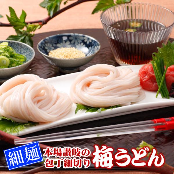 本場讃岐の包丁細切り半生 梅うどん 4袋（8人前） 讃岐うどん 梅 うどん 食品 ポスト投函便での配...