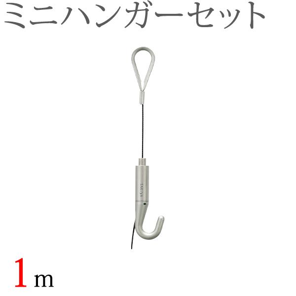タチカワ ピクチャーレール用 ミニハンガーセット（1.0m） （ブラック） 1セット 【タチカワピク...
