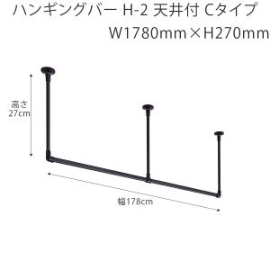 ハンギングバー トーソー H-2 天井付 Cタ...の詳細画像1