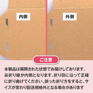 クリックポスト最大サイズ ゆうパケット 3cm...の詳細画像5
