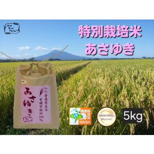 令和7年産 希少米 緑肥＆有機肥料 特別栽培米【朝日】20キロ 🔵令和7年産 予約販売🔵化学肥料不使用‼️クローバーで育てた幻の米