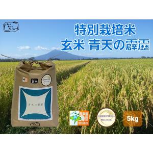 KonRiceFarm - Yahoo!ショッピング