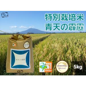 令和7年度産 青森県産 新米 特別栽培米 つがるロマン 5kg×2 精米 