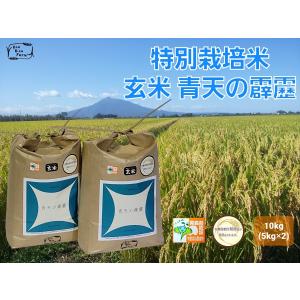 玄米　特別栽培米　青天の霹靂　10kg(5kg×2)　化学肥料不使用　農家直送 令和5年度産