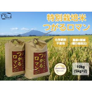 最新2026年瓶詰め 北の勝 搾りたて 1800ml クール便即日発送 一年に
