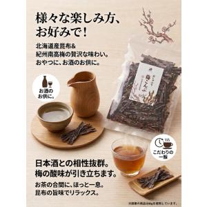 【1000円ポッキリ】Konshoten おし...の詳細画像1