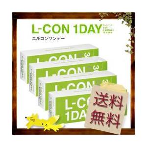 エルコンワンデー エクシード １日使い捨てコンタクト　4箱セット 送料無料 80ポイント付  コンタ...