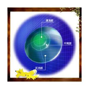 ＨＯＹＡ マルチビュー ＥＸライト 20ポイント付