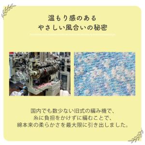 ギフト ベビー 今治産 ファーストソックス お...の詳細画像5