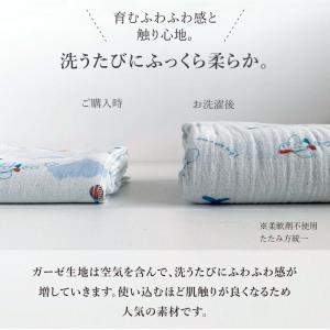 コンテックス KONTEX コットンガーゼ ベ...の詳細画像4