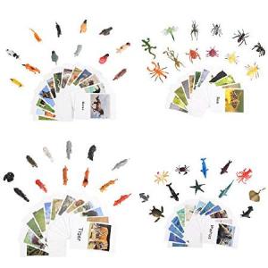 LOGANUSJ 48 PCS Montessori Marine Insects Poultry and Zoo Animals Figure Match 4 Sets - Matching Cards Montessori Language Materials Preschool Learnin｜koostore