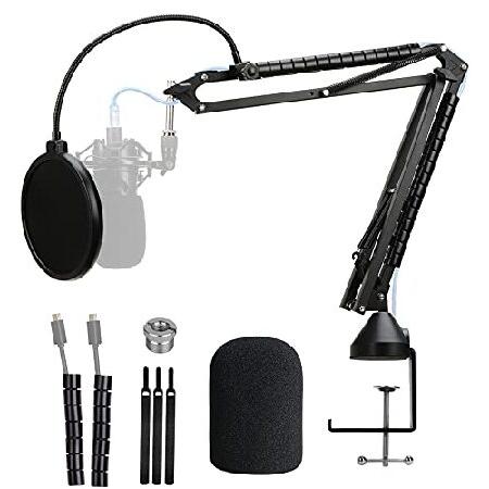 AT2020 Mic Stand with Pop Filter - Professional Mi...