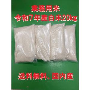 コシヒカリ 業務用白米20kg（5kg×4袋）お米 最安値 送料無料 令和7年産