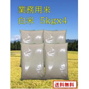 業務用お米　白米20kg（5kg×4袋）　新潟県産　未検査米　送料無料