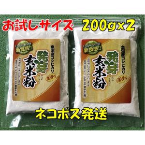 ネコポス  お試し 発芽玄米粉 無添加 グルテンフリー