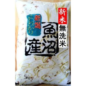 新米  令和元年産 魚沼産コシヒカリ 無洗米５kg 送料無料 訳あり２等米