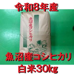 【予約】令和8年産新米魚沼産コシヒカリ 白米 30kg送料無料　新潟県南魚沼より直送　※受付後7年産魚沼産コシヒカリ3kgプレゼント