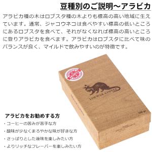 アリズ コピルアク アラビカ 100g 高級 ...の詳細画像5